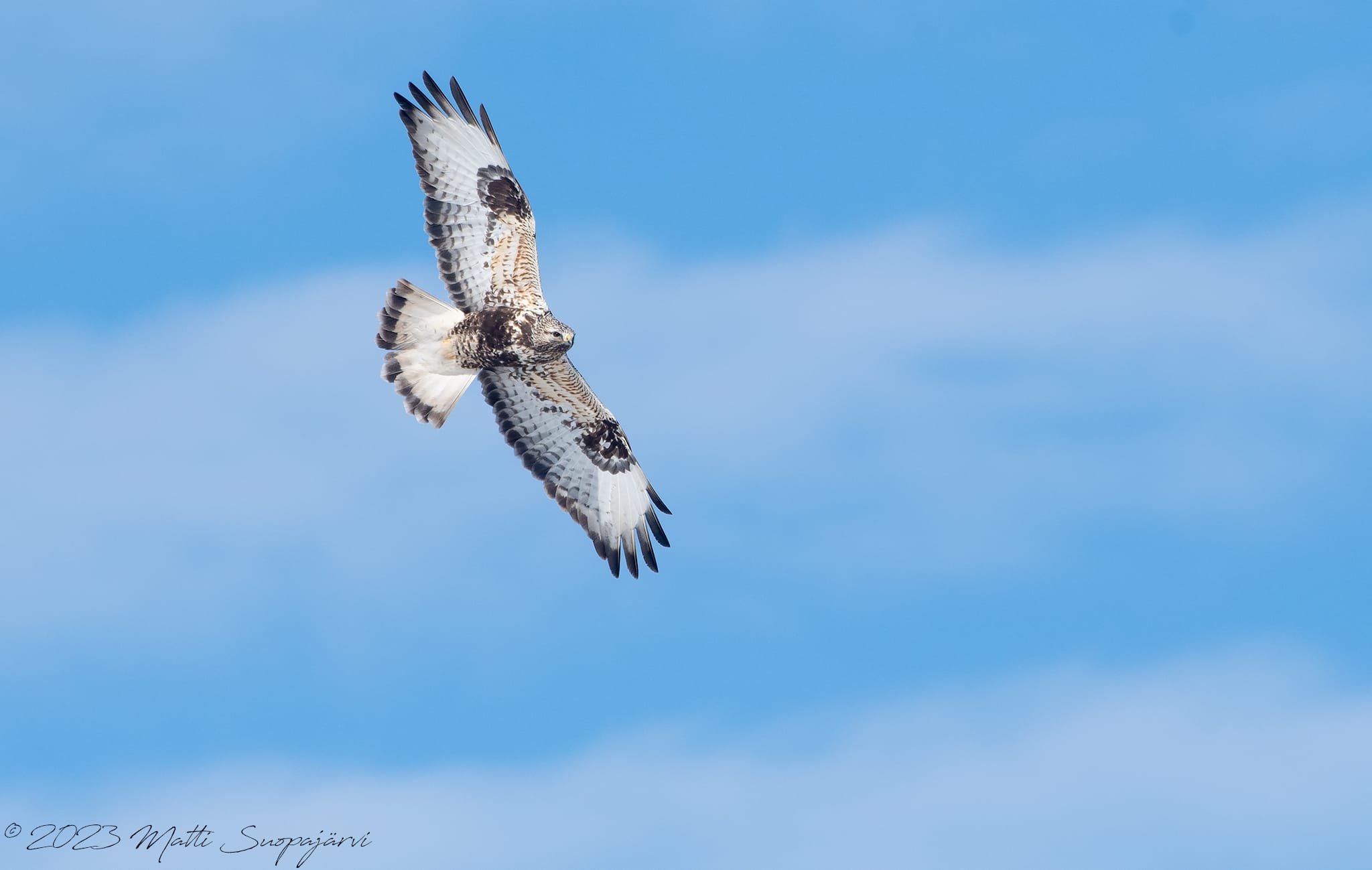 1b513754 fbde 490c 940a 84c3c8c1a9f4